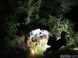 Kerangka dan Tengkorak Manusia Ditemukan di Perkebunan Jember