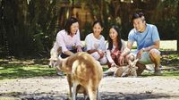 Foto Bunga dan Hewan Khas Australia Barat