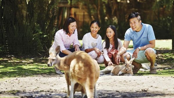 Foto Bunga dan Hewan Khas Australia Barat