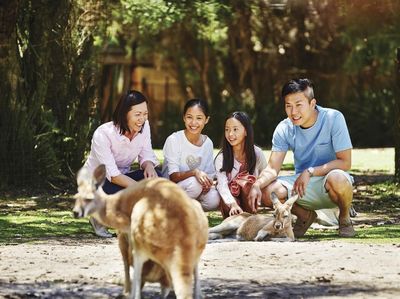 Foto Bunga dan Hewan Khas Australia Barat