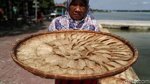 Melihat Pembuatan Kerupuk Ikan di Pulau Harapan