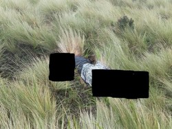 Sesosok Mayat Pria Misterius Ditemukan Membusuk di Gunung Sumbing