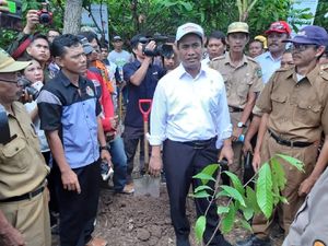 Cerita Mentan Kirim Orang ke Vietnam Belajar Tanam Kakao