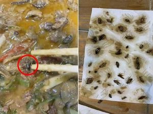 Hii..! Wanita Ini Temukan 40 Bangkai Kecoak Dalam Bebek Pesanannnya