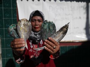 Usaha Bandeng Cabut Duri, Warga Pulau Seribu Untung Rp 20 Juta/Bulan