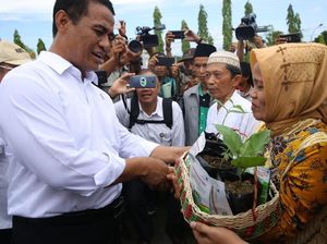 Kementan Alokasikan Anggaran ke Luwu Raya Senilai Rp 78,5 Miliar