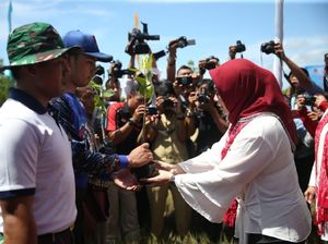 Dua Istri Menteri Kompak Tanam 5 Ribu Bibit Mangrove di NTB