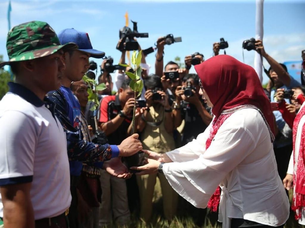 Dua Istri Menteri Kompak Tanam 5 Ribu Bibit Mangrove di NTB Dua Istri Menteri Kompak Tanam 5 Ribu Bibit Mangrove di NTB