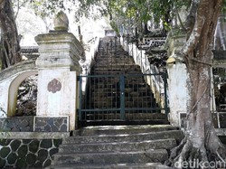 Kembang Lampir di Gunungkidul Mulai Ramai Didatangi Caleg