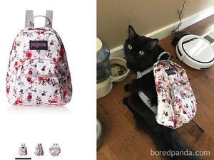 Miris tapi Kocak, Ini Belanja Online yang Tak Sesuai Harapan