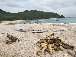 Turis Keluhkan Sampah di Tempat Wisata Lombok