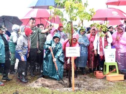 Berjas Hujan, Iriana Tanam Mangrove di Pantai Pandeglang