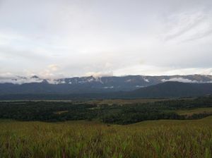Bukit Sontiri, Padang Hijau yang Punya Ribuan Jaring Laba-laba