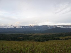 Bukit Sontiri, Padang Hijau yang Punya Ribuan Jaring Laba-laba