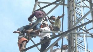 Aksi Wabup Purwakarta Panjat Tower Gagalkan Ayah-Anak Bunuh Diri