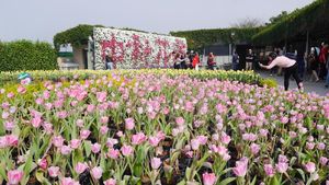 Foto: Biar Senang, Ajak Mama ke Kebun Tulip Ini