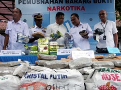 Sita 41,3 Ton Ganja Selama 2018, BNN: Pemakainya Generasi Muda