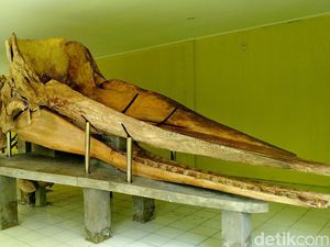 Terumbu Karang dan Kerangka Paus 13 Meter di Tidung Kecil Terumbu Karang dan Kerangka Paus 13 Meter di Tidung Kecil