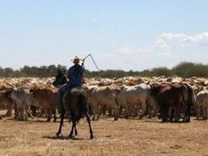 Australia Perluas Aturan Visa Pekerja Terampil