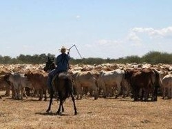 Australia Perluas Aturan Visa Pekerja Terampil