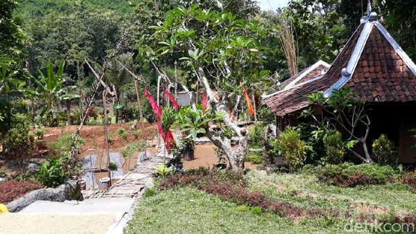 Foto: Lelah di Kota, Saatnya Kembali ke Desa di Gunungkidul