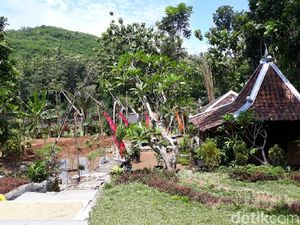 Foto: Lelah di Kota, Saatnya Kembali ke Desa di Gunungkidul
