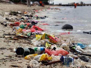 WWF Prediksi Polusi Plastik di Lautan Dunia Naik 4x Lipat pada 2050 WWF Prediksi Polusi Plastik di Lautan Dunia Naik 4x Lipat pada 2050