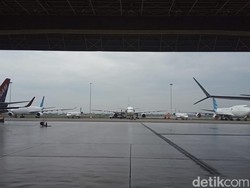 Mengintip Aturan yang Bikin Bos Garuda Dipecat di Perkara Harley Ilegal