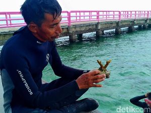 Erik Pelestari Terumbu Karang Pulau Tidung: Saya Dulu Dianggap Gila