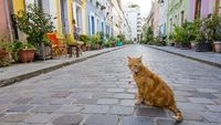 Jangan Foto-foto Instagram di Sini, Nanti Warganya Bete!