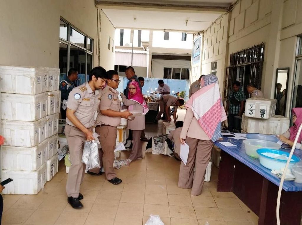 Penyelundupan Baby Lobster Senilai Rp 37 M ke Singapura Digagalkan Penyelundupan Baby Lobster Senilai Rp 37 M ke Singapura Digagalkan