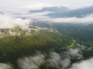 Mau Liburan ke Tambrauw? Ini Caranya Mau Liburan ke Tambrauw? Ini Caranya