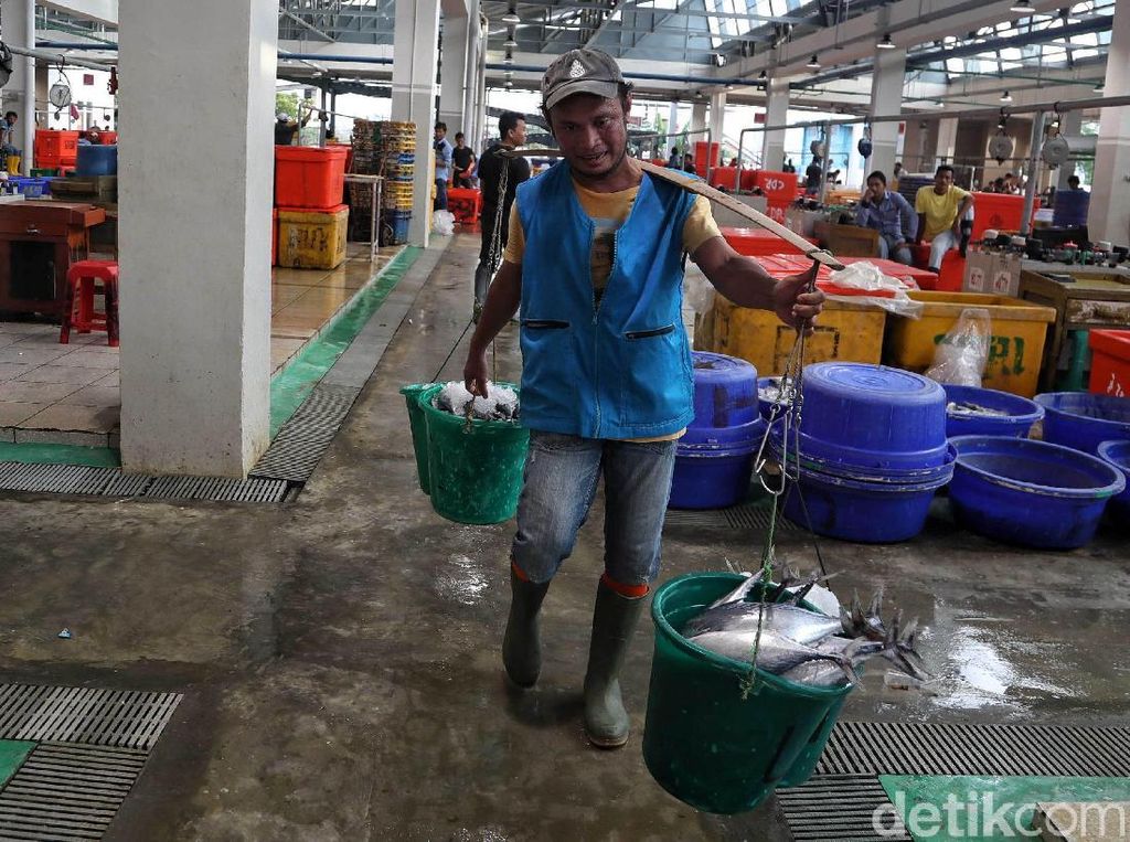 Sektor Perikanan RI Diprediksi Sumbang Rp 2.200 T dalam 5 Tahun Sektor Perikanan RI Diprediksi Sumbang Rp 2.200 T dalam 5 Tahun