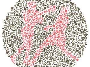 Sudah Cukup Segar untuk Beraktivitas? Temukan Siluet Olahraga di Gambar Ini Sudah Cukup Segar untuk Beraktivitas? Temukan Siluet Olahraga di Gambar Ini