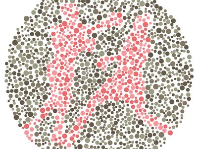 Sudah Cukup Segar untuk Beraktivitas? Temukan Siluet Olahraga di Gambar Ini