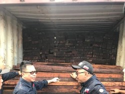 PN Makassar Tolak Praperadilan 6 Perusahaan soal Muatan Kayu Ilegal