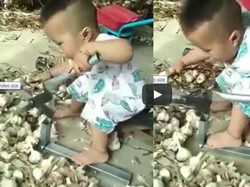 Sering Bantu Orang Tuanya, Dua Bocah Cilik Ini Jago Potong Akar Bawang