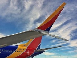 2 Pilot AS Laporkan Insiden Nose-Down Saat Terbangkan Boeing 737 MAX 8