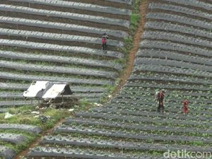 Marak Alih Fungsi Lahan, Subang Terancam Bencana