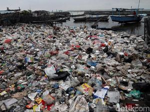 Potret Sampah Plastik Kepung Pulau Terluar Jakarta Potret Sampah Plastik Kepung Pulau Terluar Jakarta