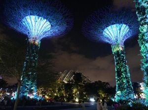 Foto: Saat Pohon Ajaib Singapura Menyala