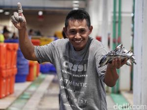 Penampakan Suasana Pasar Ikan Modern Muara Baru Penampakan Suasana Pasar Ikan Modern Muara Baru
