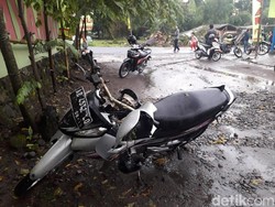Pohon Tumbang di Jalan Kaliurang Timpa Pengendara Motor