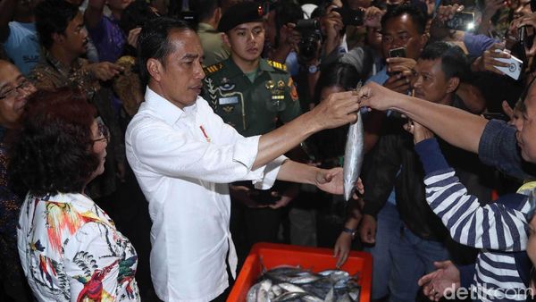Sah! Jokowi Resmikan Pasar Ikan Modern Muara Baru