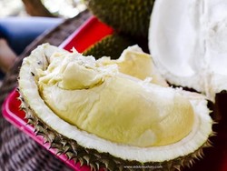 Icip-icip Durian Mantap di Semarang, Ini Tempatnya