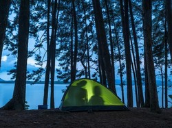 Ini Nih Pulau Pinus Mungil di Tengah Danau