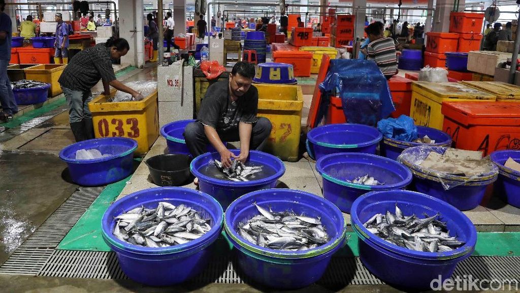 Keren dan Bersih! Pasar Ikan Modern Muara Baru yang Diresmikan Jokowi