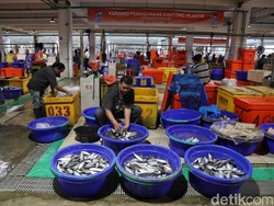 Sambutlah Pasar Ikan Modern Muara Baru, Tsukiji Market Versi Indonesia