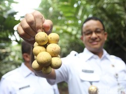 Anies Mau Pakai Duit Hasil Jual Saham Bir Buat Sekolah dan Air Bersih