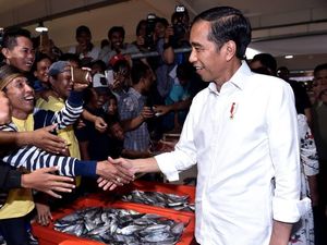 Harapan Jokowi untuk Wisata Pasar Ikan Modern Muara Baru Harapan Jokowi untuk Wisata Pasar Ikan Modern Muara Baru